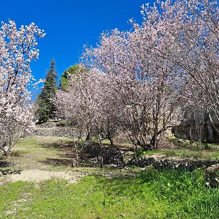 Kyperounta Troodos Mountain House * Λεμεσός