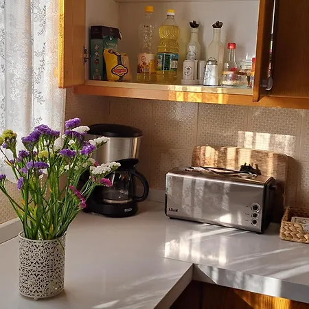 Kyperounta Troodos Mountain House *