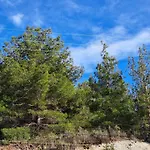 Apartament Kyperounta Troodos Mountain House Limassol