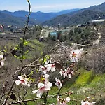Kyperounta Troodos Mountain House Apartament Limassol