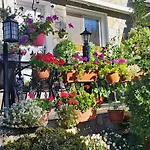 Kyperounta Troodos Mountain House Апартаменты *