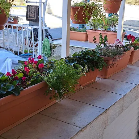 Kyperounta Troodos Mountain House Limassol