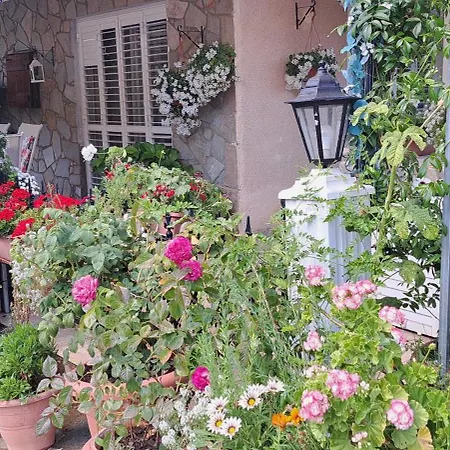 Апартаменты Kyperounta Troodos Mountain House *