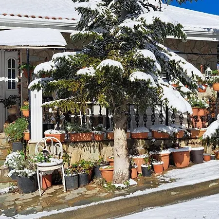 Apartment Kyperounta Troodos Mountain House