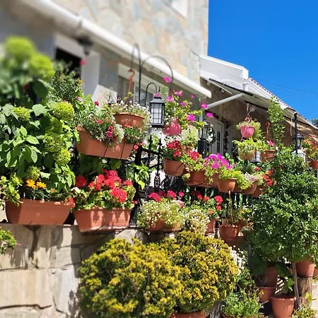 Апартаменты Kyperounta Troodos Mountain House *