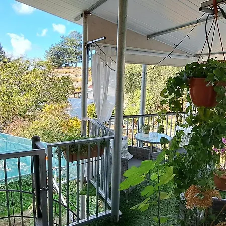 Kyperounta Troodos Mountain House Апартаменты Лимасол