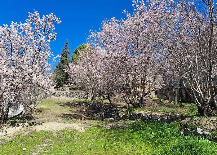 Kyperounta Troodos Mountain House * Limassol
