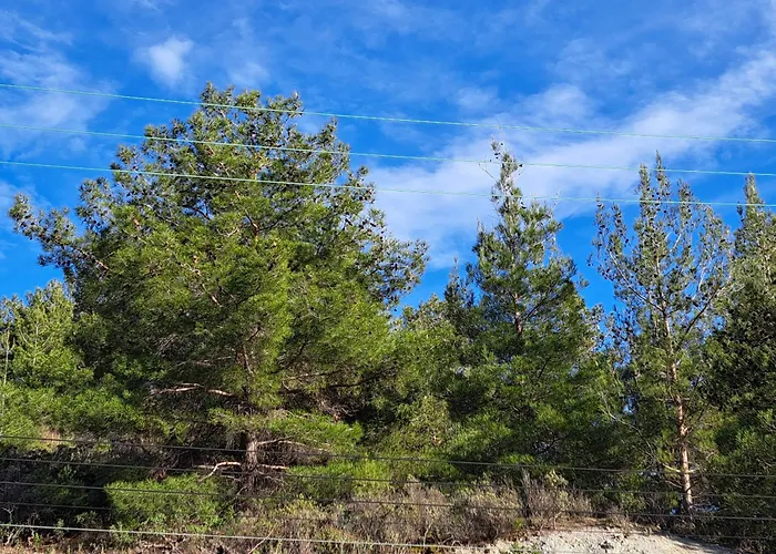 Lägenhet Kyperounta Troodos Mountain House Limassol