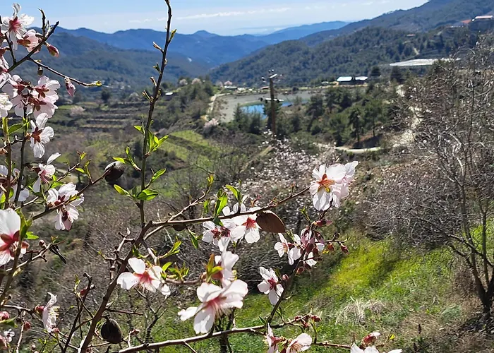 Kyperounta Troodos Mountain House Lägenhet Limassol