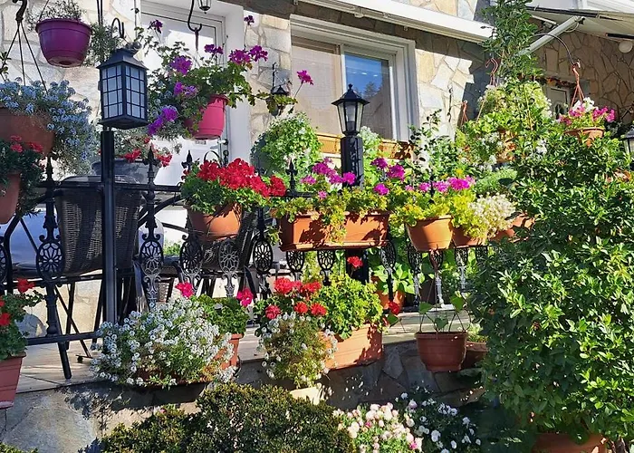 Kyperounta Troodos Mountain House 公寓 *