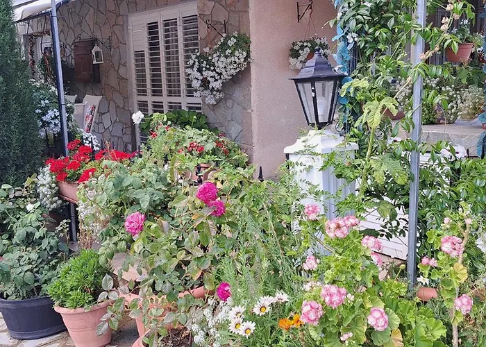 アパート Kyperounta Troodos Mountain House *