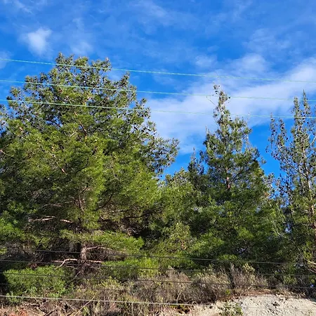 아파트 Kyperounta Troodos Mountain House 레메소스