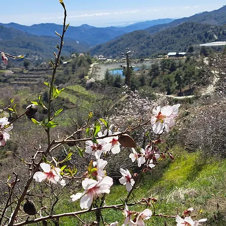 Kyperounta Troodos Mountain House 아파트 레메소스