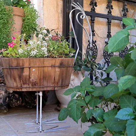 Kyperounta Troodos Mountain House * 레메소스